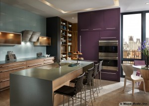 modern kitchen cabinets montana